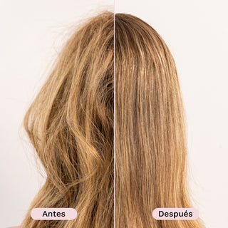 Cepillo Alisador Verde PYT | Tienda Online de Planchas, Secadores y Accesorios